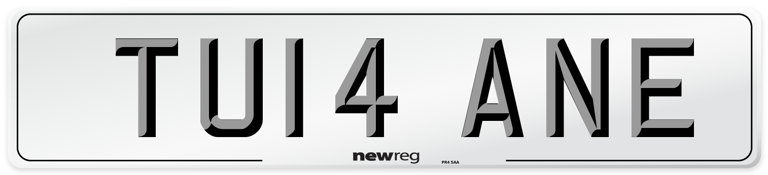 TU14 ANE Number Plate from New Reg